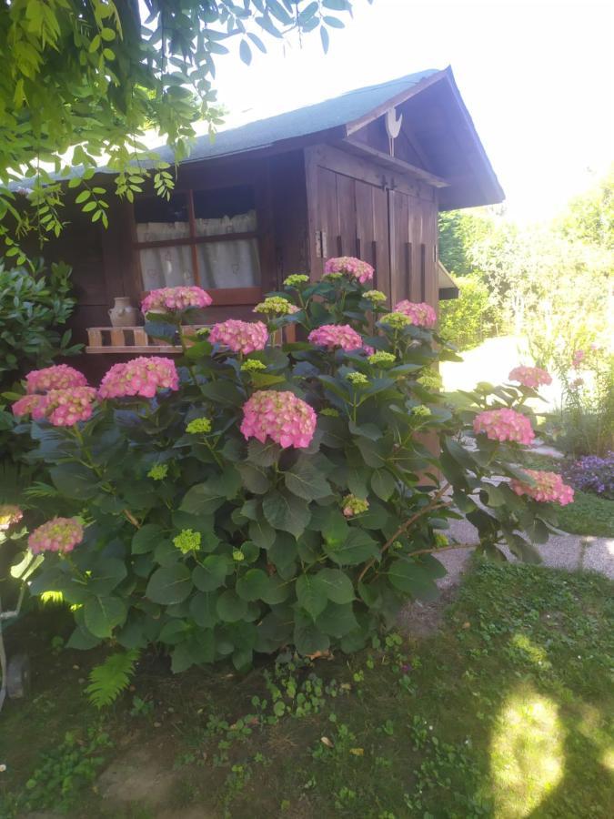 Al Casale B&B Casalserugo Экстерьер фото
