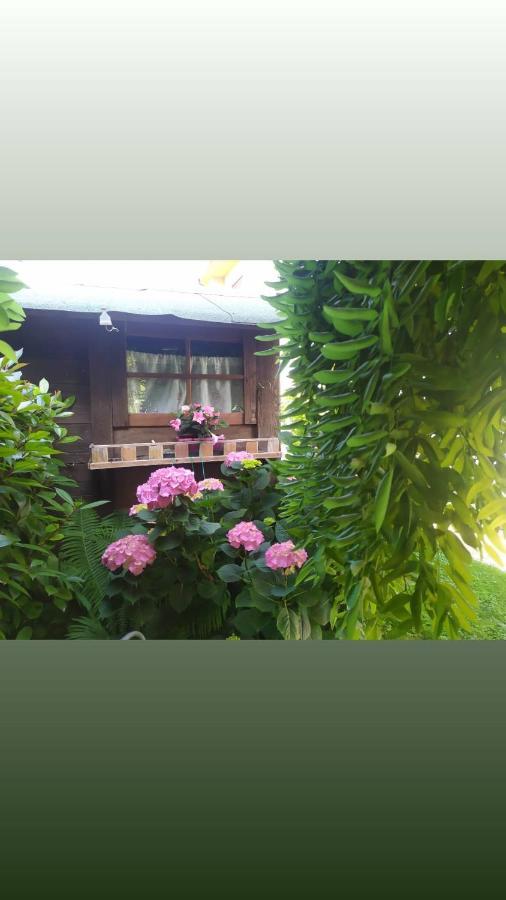 Al Casale B&B Casalserugo Экстерьер фото