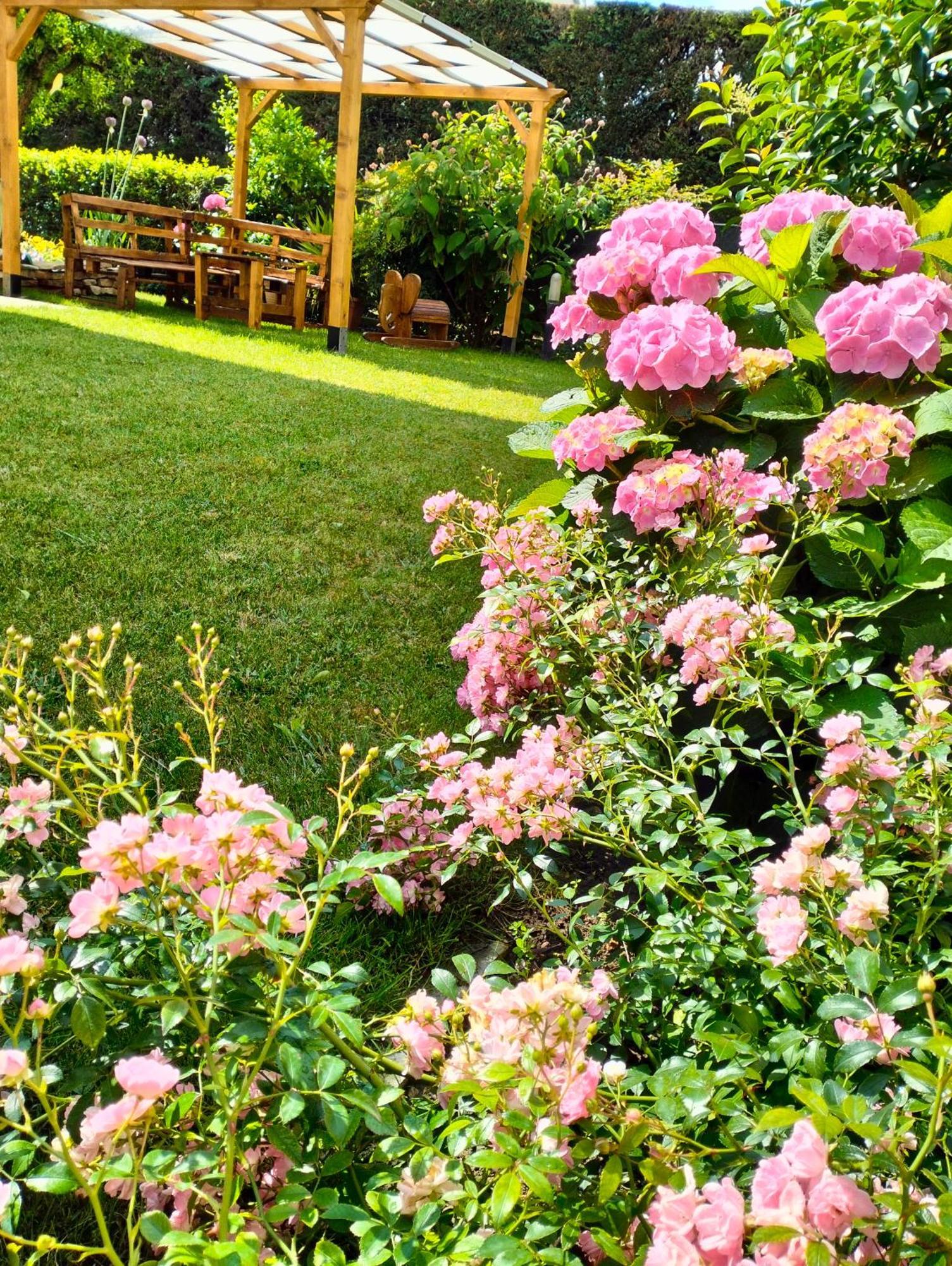 Al Casale B&B Casalserugo Экстерьер фото